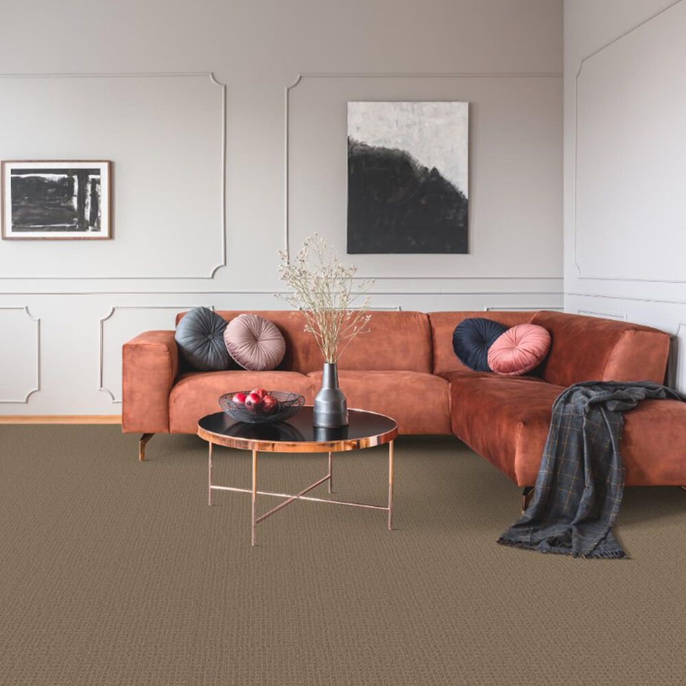 Dixie Home Galliard Carpet in Avenue, , large