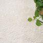 Nourison Cozy Shimmer 7"9" x 9"9" Ivory and Silver Area Rug, , large