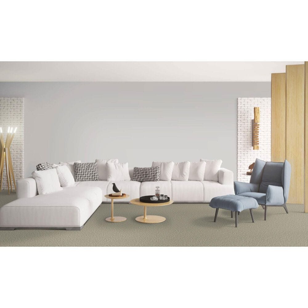 Dixie Home Riverbend Carpet in Sandstone, , large
