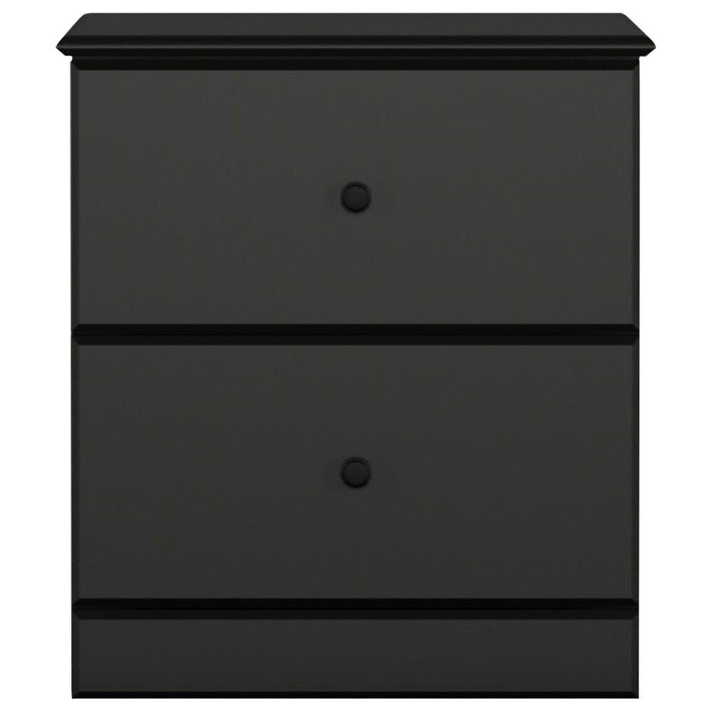 Lemoore Essentials 2 Drawer Nightstand in Black, , large