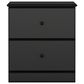 Lemoore Essentials 2 Drawer Nightstand in Black, , large