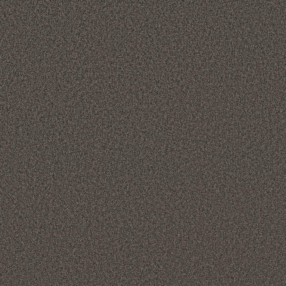 Shaw Tonal Comfort Ii Carpet in Weekend Getaway, , large