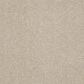 Philadelphia Basic Rules Carpet in Arctic Fox, , large