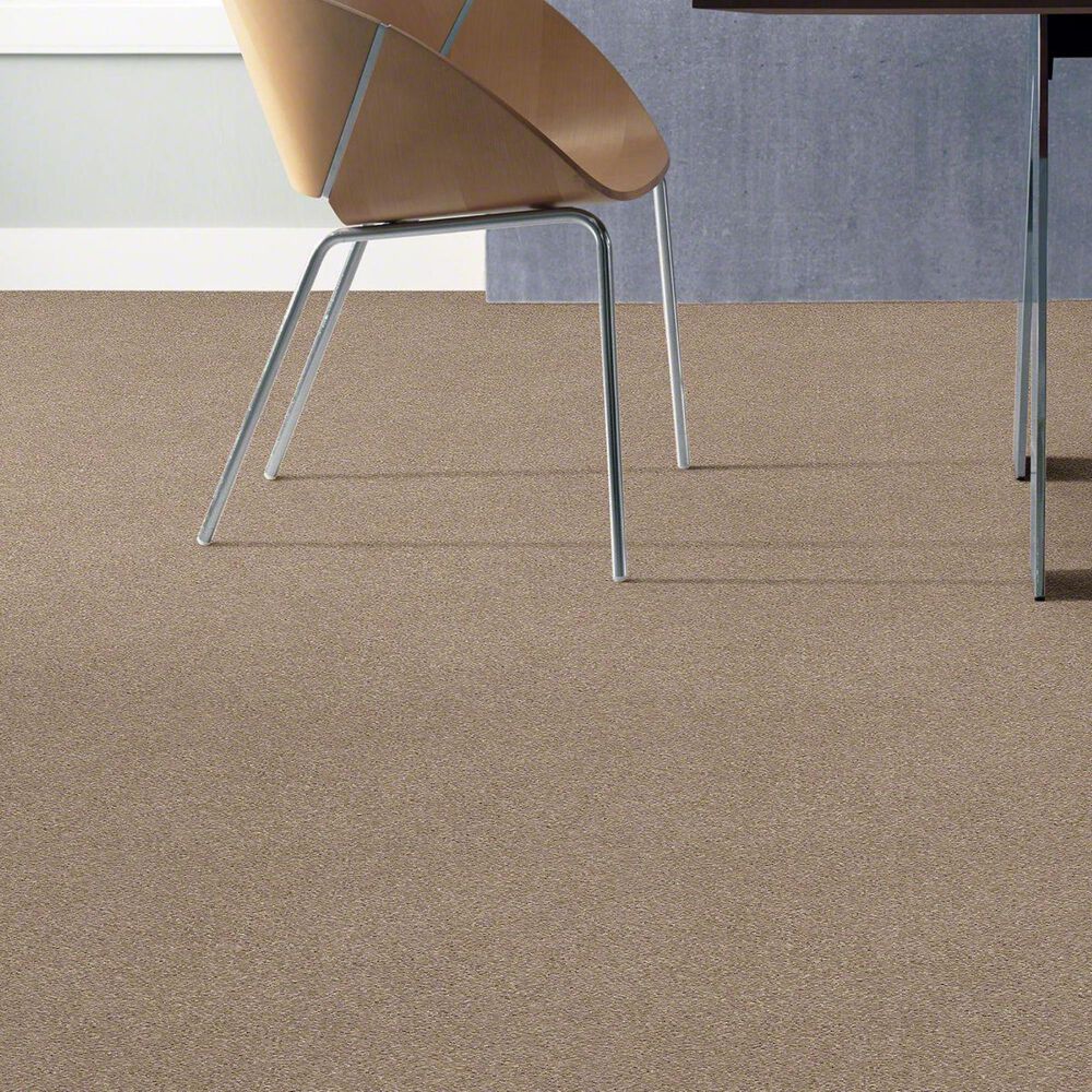 Philadelphia Basic Rules Carpet in Toast, , large