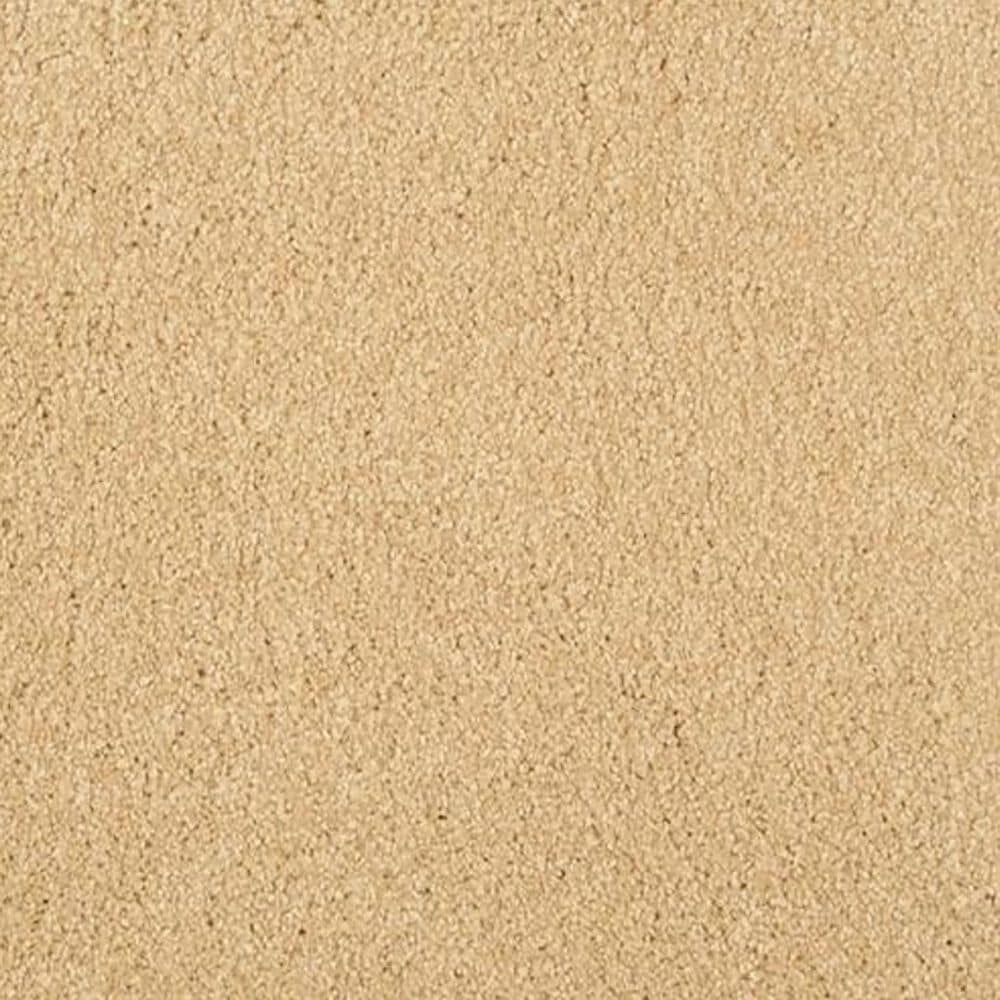 Masland Miami Carpet in Ambiance, , large