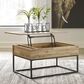 Ashley Gerdanet Lift Top Coffee Table in Natural, , large