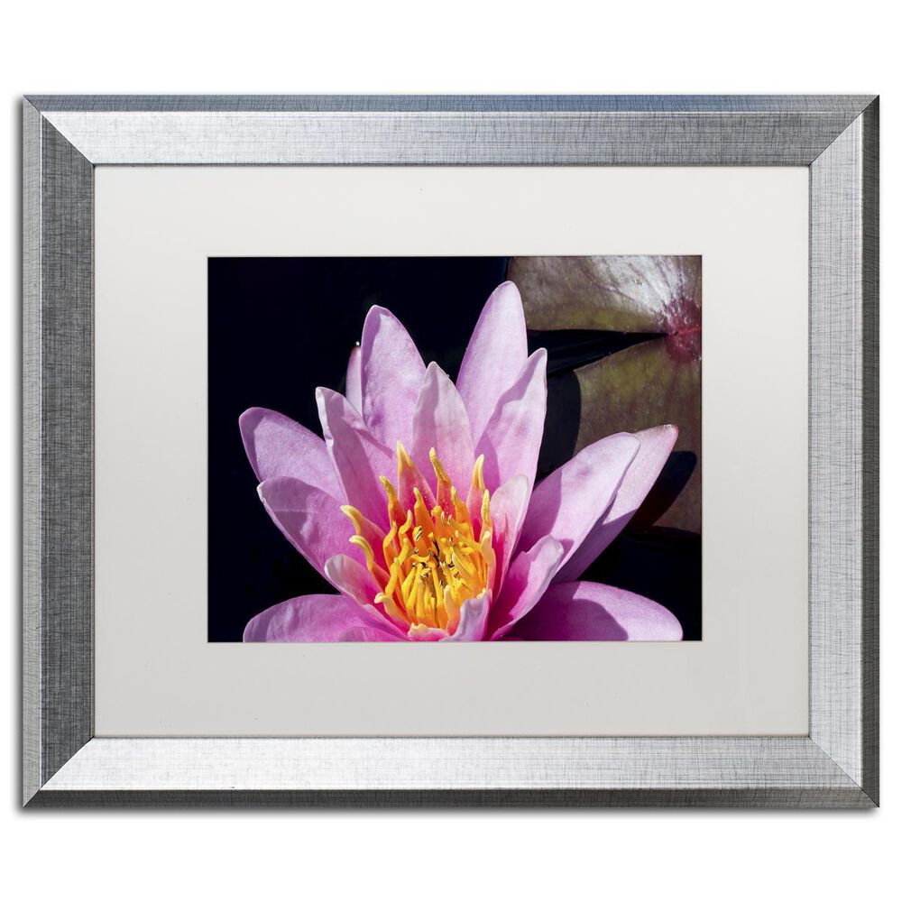 Timberlake 11" x 14" Pink Water Lily Art in White Matting and Silver Frame, , large