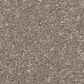 Shaw Hard At Play II Carpet in Chic Greige, , large