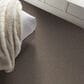 Shaw Hard At Play I Carpet in Cobblestone, , large