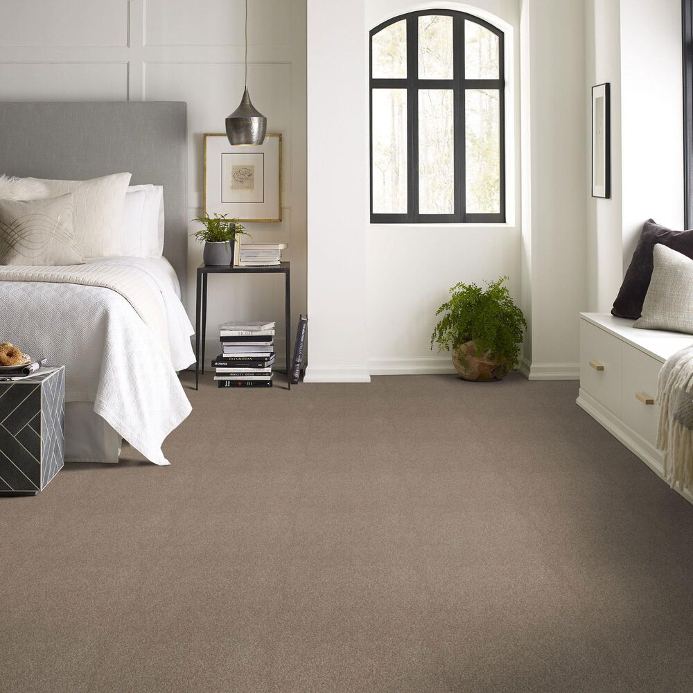 Shaw Comforting I Carpet in Boardwalk, , large