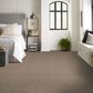 Shaw Comforting I Carpet in Boardwalk, , large