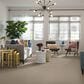 Anderson Tuftex Narrow Creek Carpet in Ridgeway Walk, , large