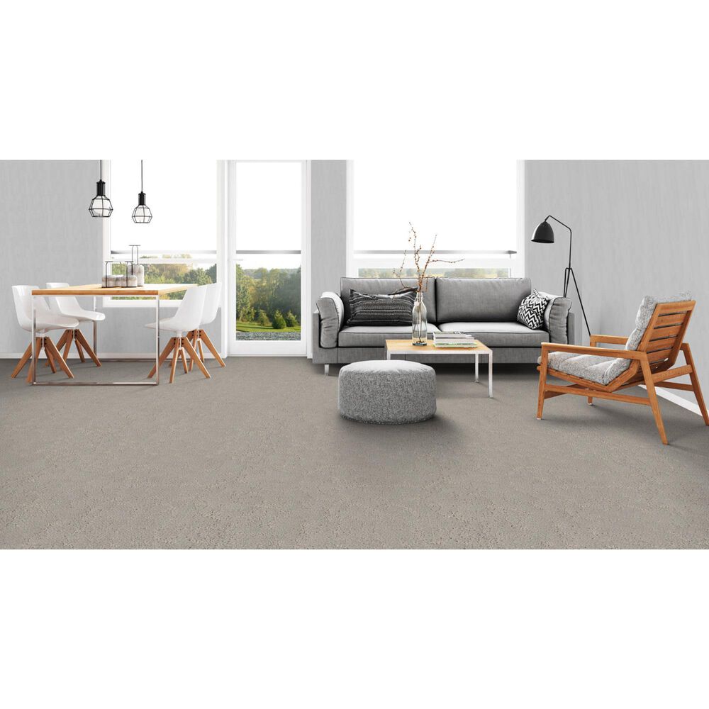 Dixie Home High Hopes Carpet in Stone Path, , large