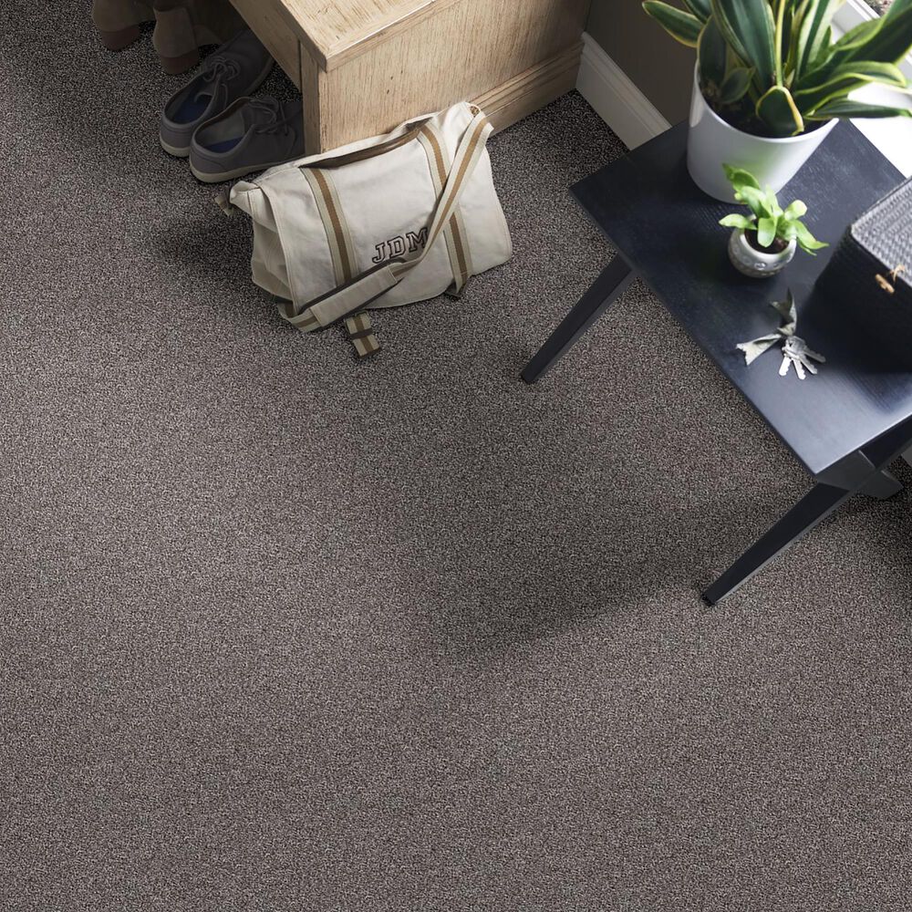 Shaw Influencer Carpet in Sentimental, , large