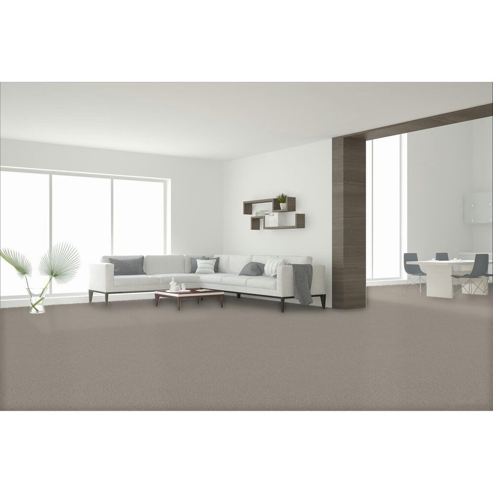 Dream Weaver Cape Cod Carpet in Silver Lining, , large
