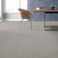 Shaw Find Your Comfort TA II Carpet in Great Mood, , large