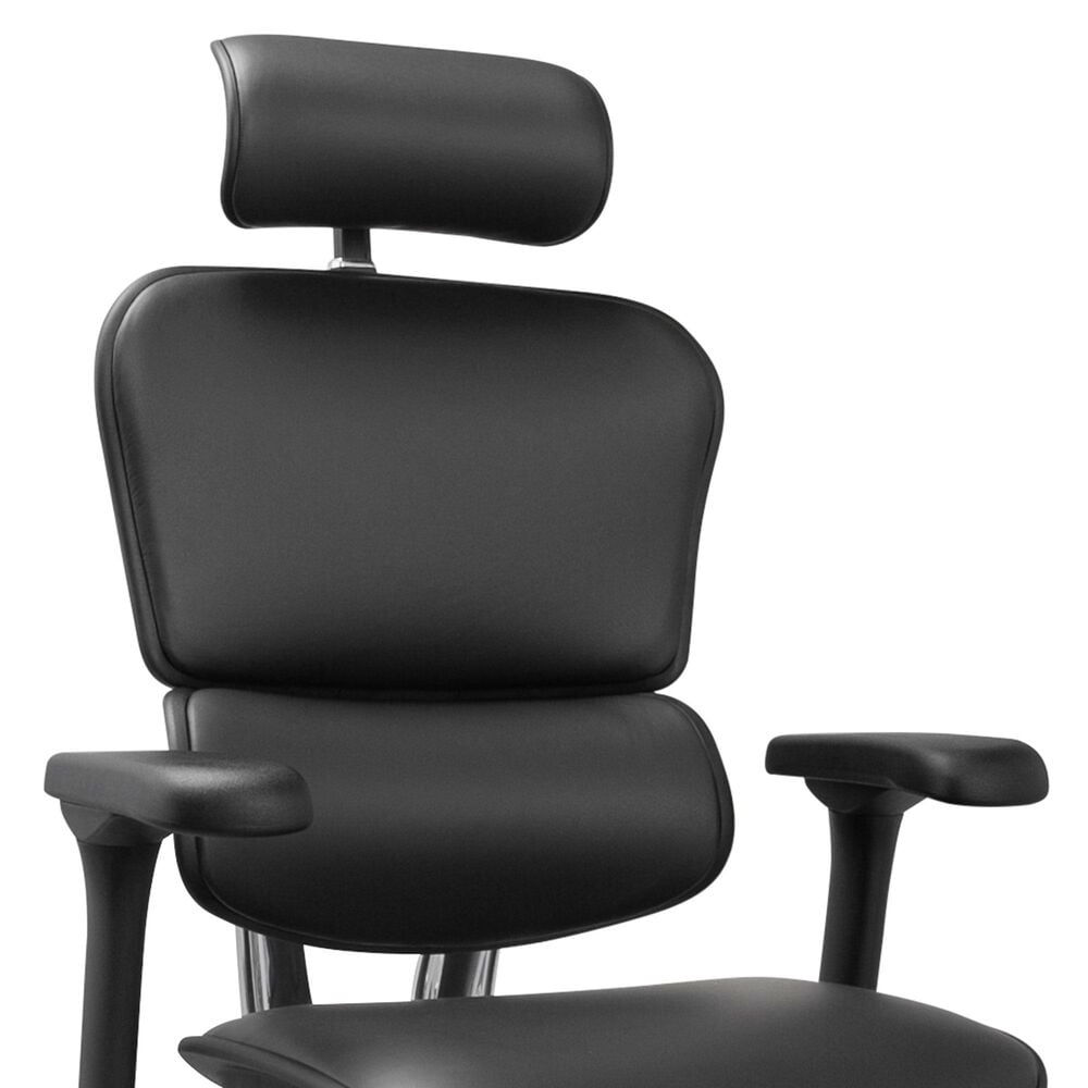 Raynor Group Ergohuman High Back Leather Executive Chair in Black, , large