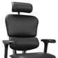 Raynor Group Ergohuman High Back Leather Executive Chair in Black, , large