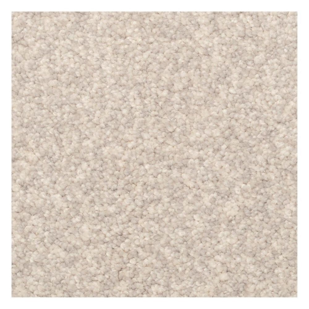 Dixie Home Lavato Carpet in Granite, , large