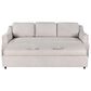 Lifestyle Solutions Haddington Stationary Sleeper Sofa in Linen, , large