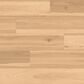 Paramount Fundamentals Sunflower 9" x 60" Luxury Vinyl Plank, , large