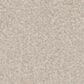 Phenix Canvas II Carpet in Poplin, , large