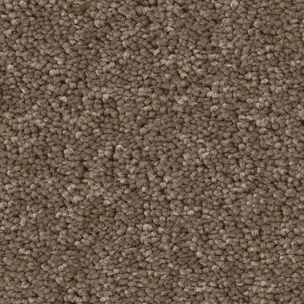 Anderson Tuftex Enchanting Carpet in Carafe, , large