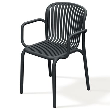 Zentro Living Brene Outdoor Arm Chair in Charcoal, , large