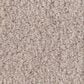 Anderson Tuftex Luxe Feel II Carpet in Sterling, , large