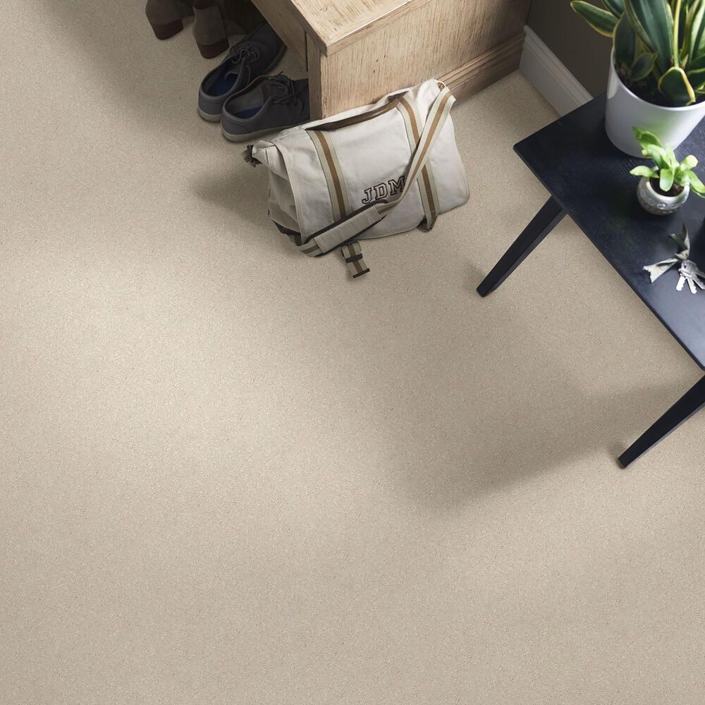 Shaw Well Grounded II 15&#39; Carpet in Bleached, , large