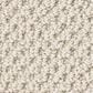 Anderson Tuftex Gracious Carpet in Parchment, , large