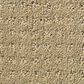 Shaw Foundations Alluring Disposition Carpet in Safari, , large