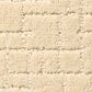 Anderson Tuftex New Tricks Carpet in Antiquity, , large