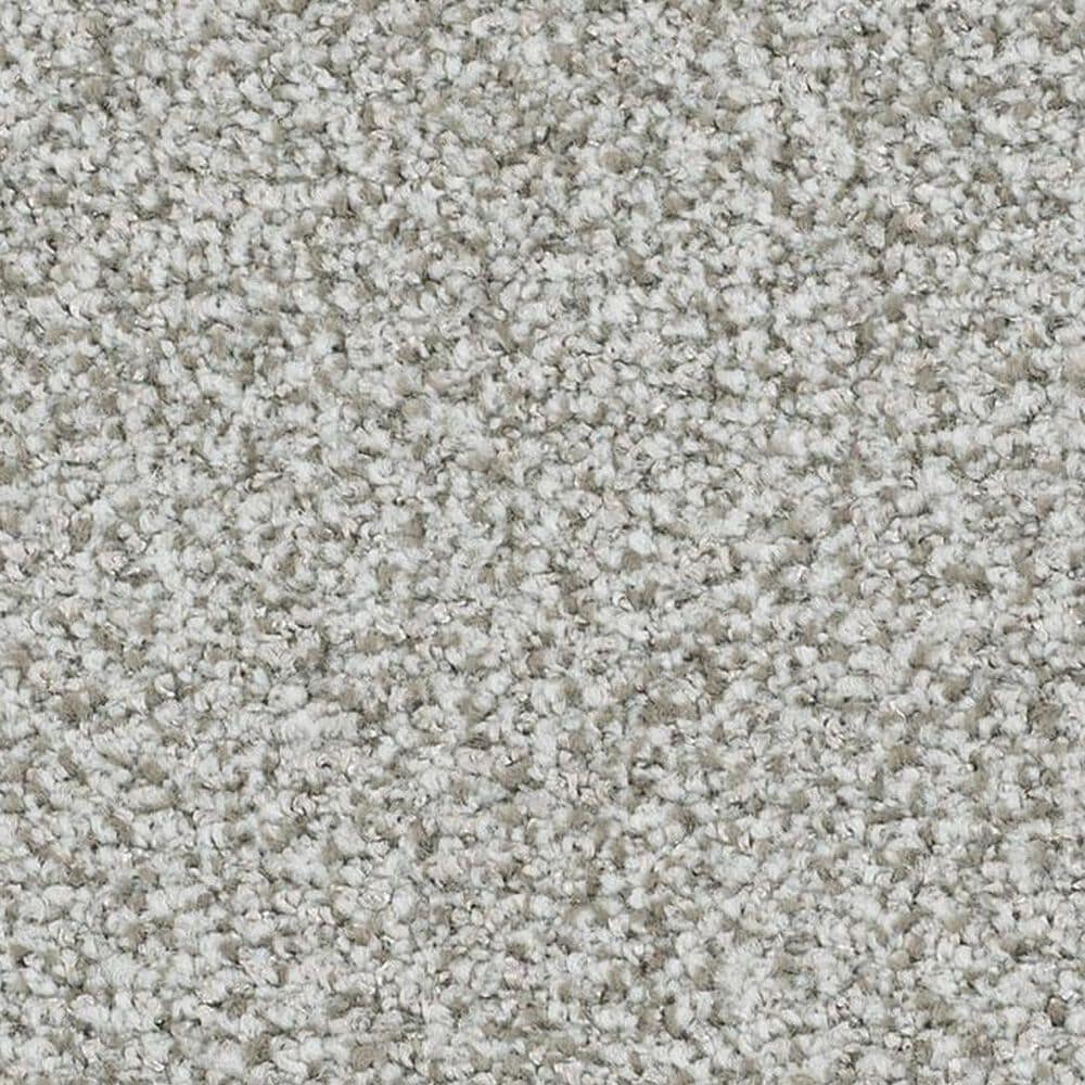 Masland Santo Domingo Carpet in Persistent, , large