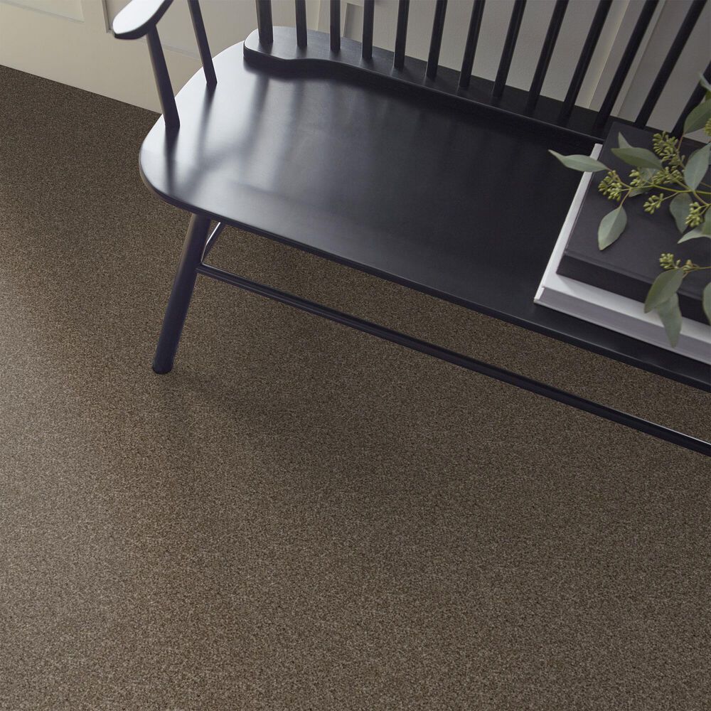 Shaw Yes You Can I Carpet in Mission Ridge, , large