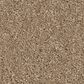 Anderson Tuftex Enchanting Carpet in Biscotti, , large