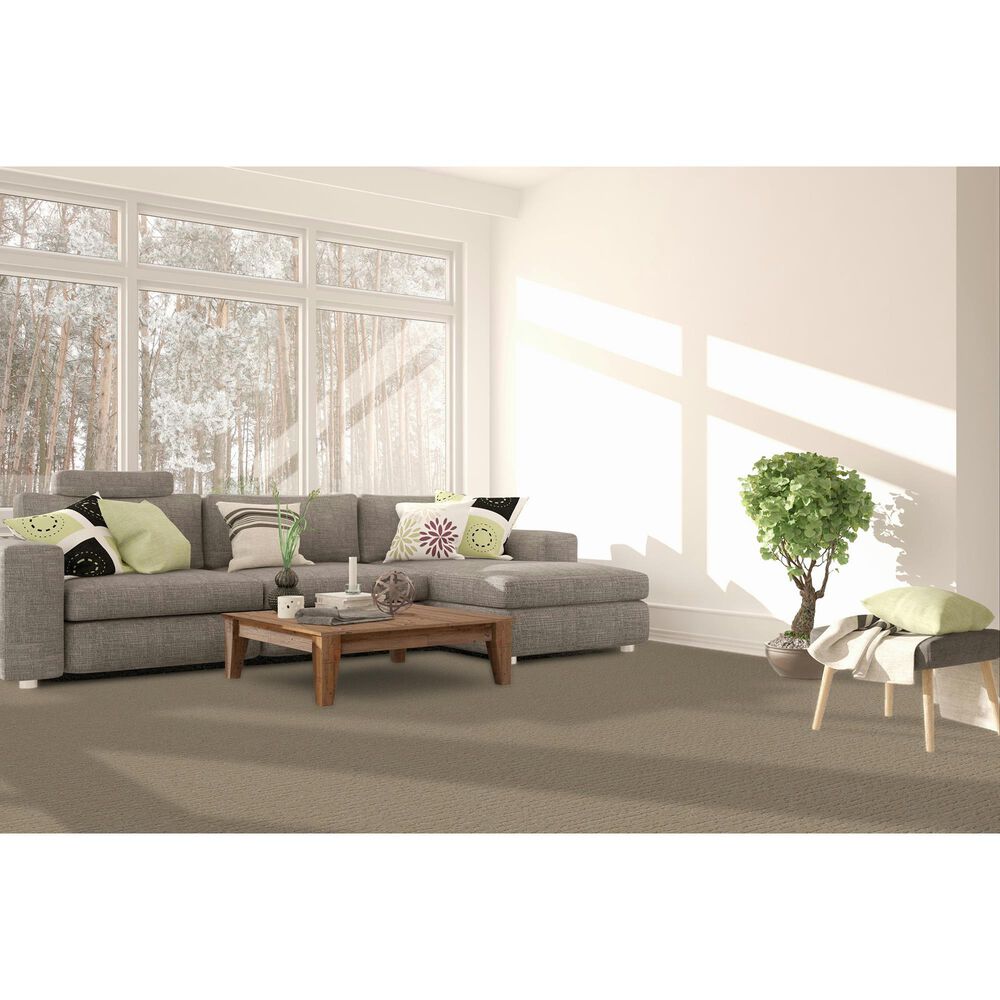 Dream Weaver Natural Attraction Carpet in Joyous, , large