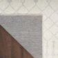 Nourison Astra Machine Washable 4" x 6" Ivory Area Rug, , large