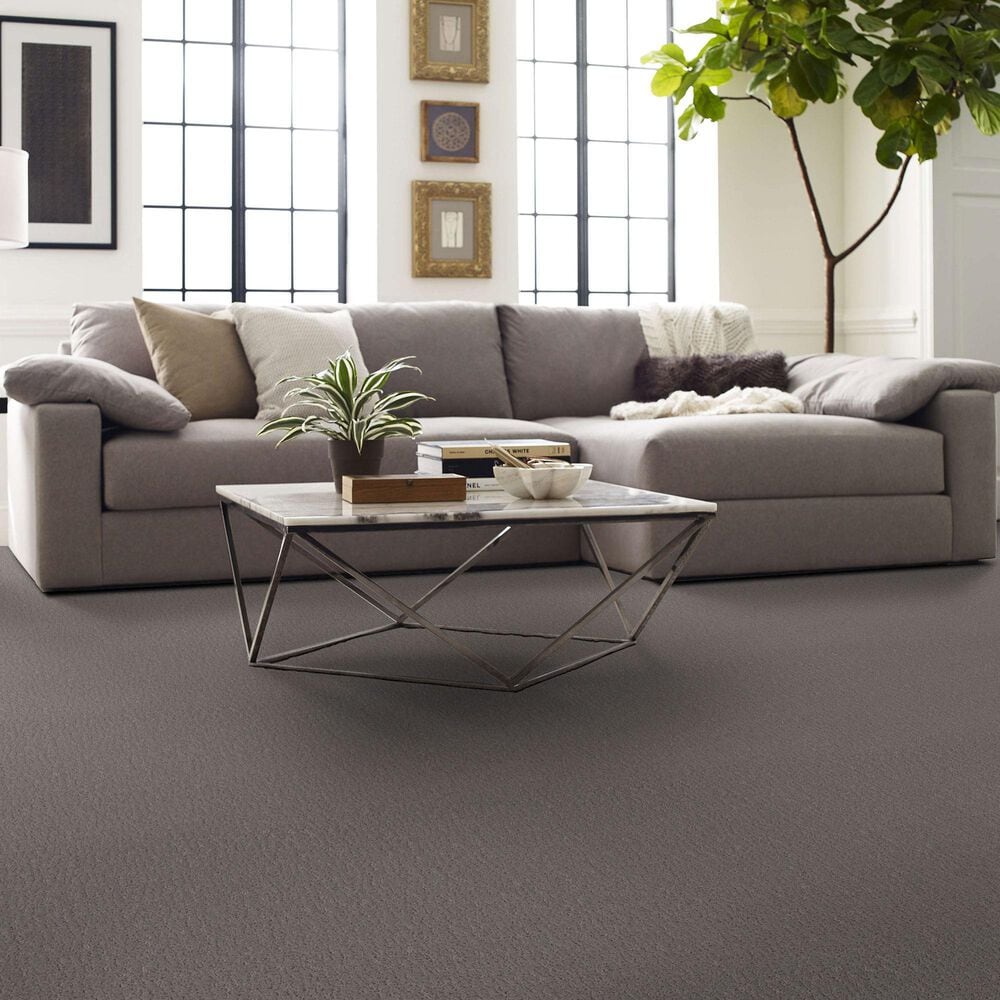 Shaw Studio Set Carpet in Fallen Acorn, , large