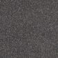 Anderson Tuftex Barracan Classic IV Carpet in Armory, , large