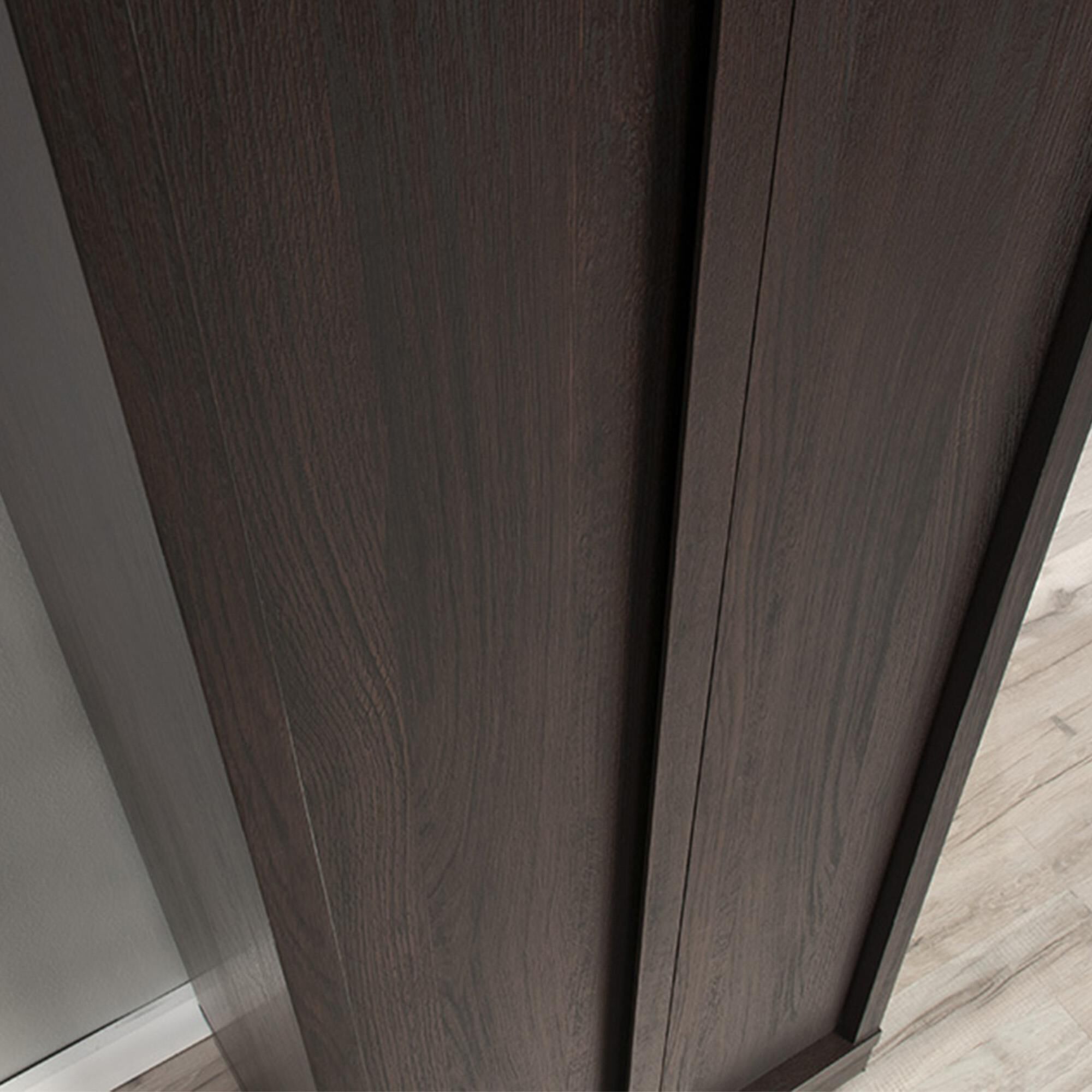 Sauder Merton Hall 2-Door Storage Cabinet in Dakota Oak