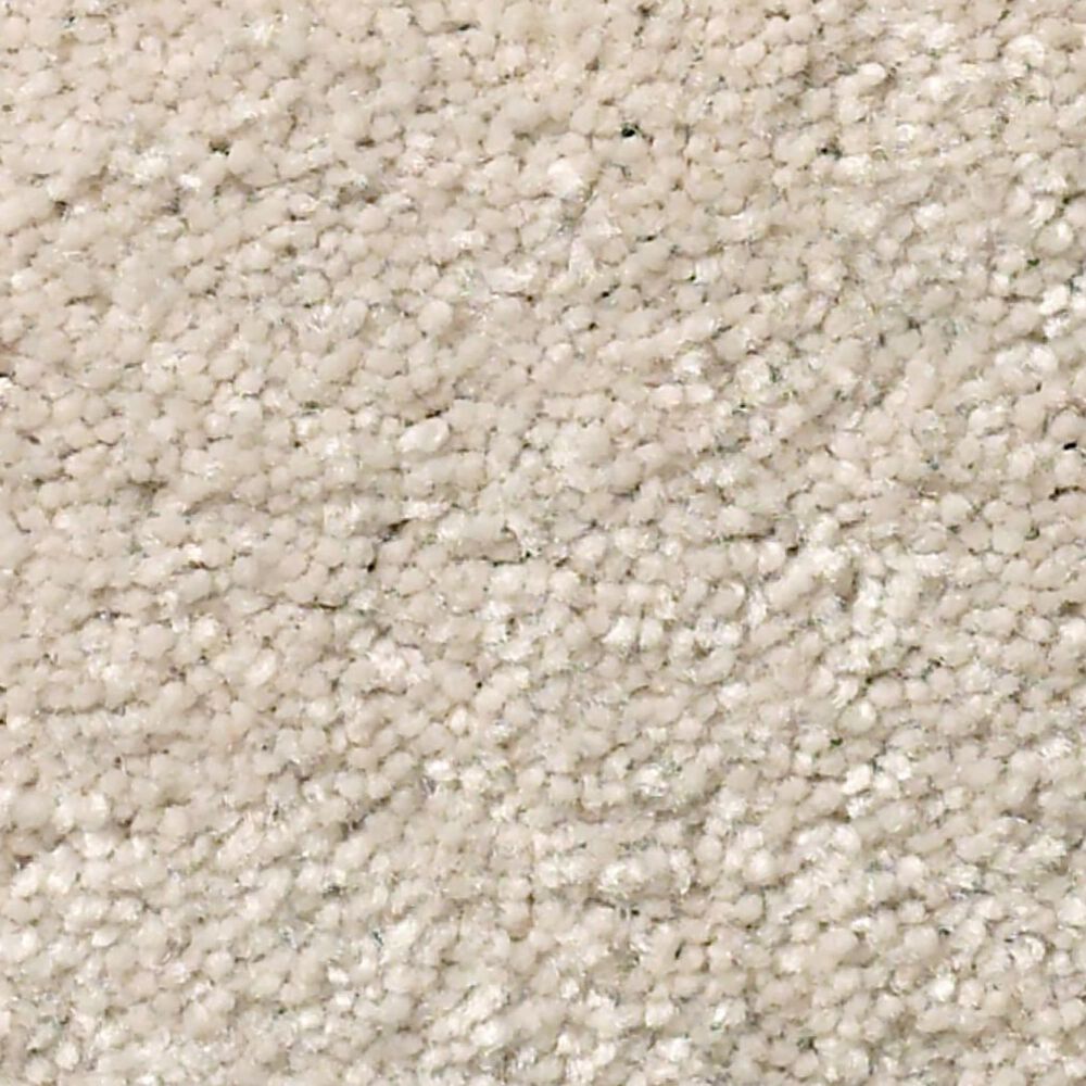 Shaw Well Grounded III 15" Carpet in Bleached, , large