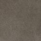 Dream Weaver Serene I Carpet in Ridgeview, , large