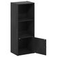 HOMLUX 3-Tier Shelf Bookcase with Door Storage Cabinet in Blackwood, , large