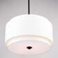 Vaxcel Burnaby 4-Light Pendant in Black, , large