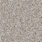 Shaw Good Idea Carpet in Desert Light, , large