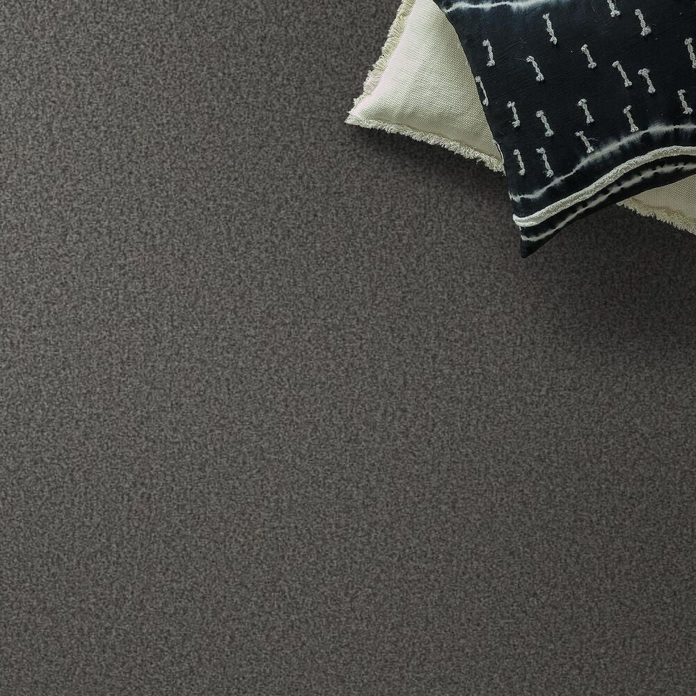 Shaw Tonal Comfort Ii Carpet in Power Suit, , large