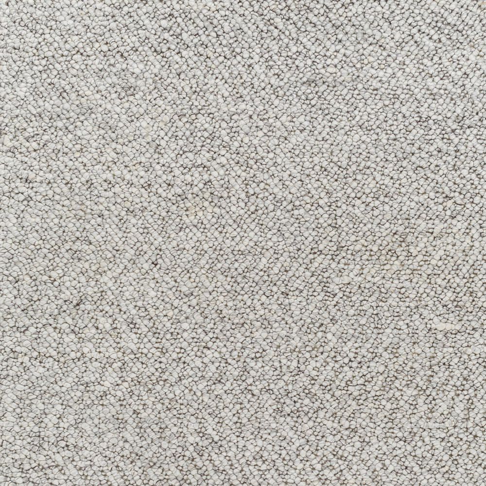 Surya Vesta VST2302 2&#39; x 3&#39; Light Grey Area Rug, , large