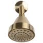 MS International 1-Handle 1-Spray Tub and Shower Faucet with Pressure Balance Valve in Matte Gold, , large