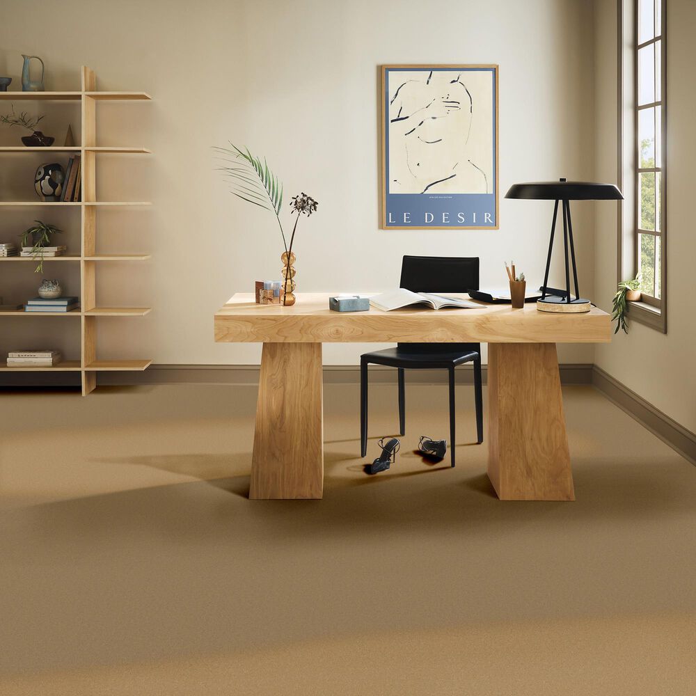 Anderson Tuftex Finery Carpet in Cider, , large